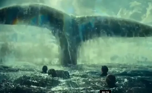 Giants of the Sea Aren’t as Big as You’d Think (Video)