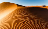 The Namib Desert – Stark Beauty