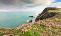 Top Reasons to Visit the Shetland Islands in Scotland