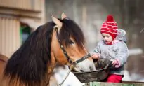 Boost Your Immune System With a Pet