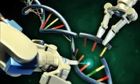 GM Corn and Soy Cause Damage to Liver, Kidneys, DNA, Reproduction and Blood According to New Study