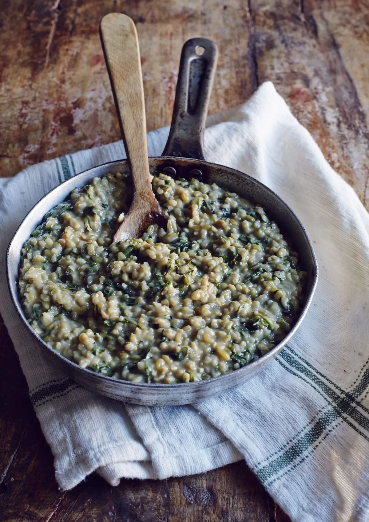 Farrotto With Acorn Squash and Red Russian Kale. (Excerpted from Heritage by Sean Brock (Artisan Books). Copyright © 2014. Photographs by Peter Frank Edwards.)
Farrotto With Acorn Squash and Red Russian Kale. (Excerpted from Heritage by Sean Brock (Artisan Books). Copyright © 2014. Photographs by Peter Frank Edwards.)







