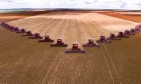 Soy’s Healthy Reputation Under Fire