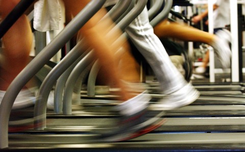 People run on treadmills at a New York Sports Club (Spencer Platt/Getty Images) 