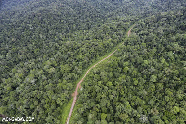 Malaysia Might Stop Granting Logging Concessions