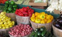Lax Standards Allow GMOs in Organic Food