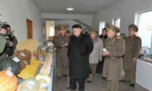 China Props Up North Korea, Says Congressional Report