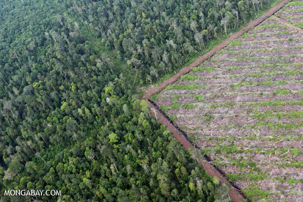 Key Carbon Mitigator Omitted in First UN Climate Draft