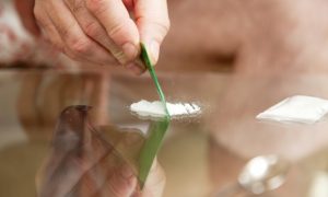 Antidote for Cocaine May Hinge on Dopamine