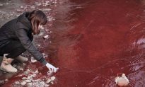 Pollution Forces Pregnant Women to Leave Chinese Village