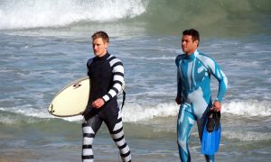 More Shark Research Needed as Dangerous Encounters Increase