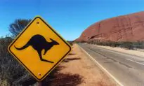 How to Make Your Australian Road Trip Awesome