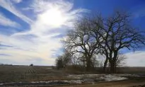 Keystone XL Oil Pipeline: Key Issues and Updates