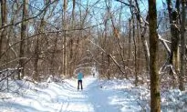 Chicagoland Cross-Country Skiing Destination