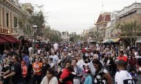 Viral Video Shows Brawl Inside Disneyland as Children Watch