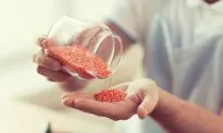 Lentils 101: All You Need to Know