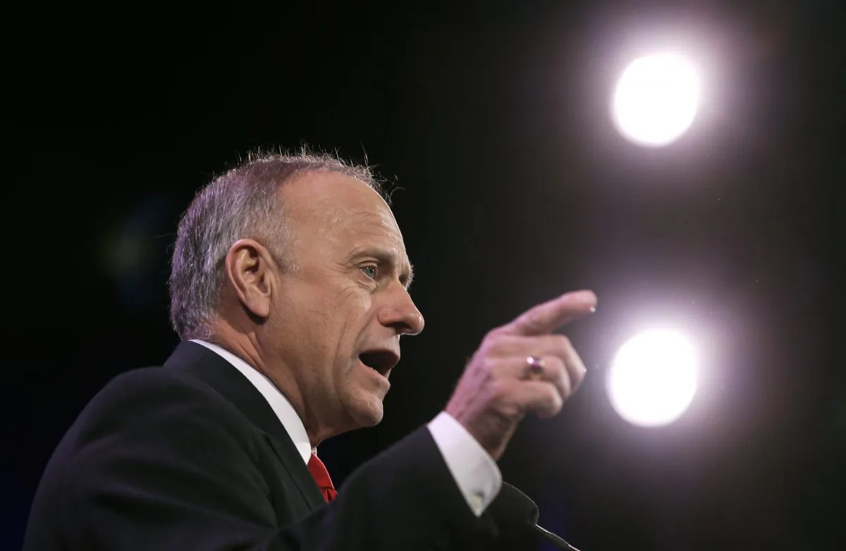 Rep. Steve King (R-Iowa) speaks at the Freedom Summit in Des Moines, Iowa, on Jan. 24, 2015, . (AP Photo/Charlie Neibergall)