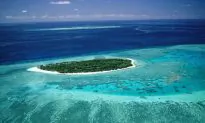 UNESCO Still Concerned About Great Barrier Reef, but Remains Off Danger List