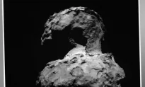 Rosetta Captures Stunning Views, Diverse Data of Comet 67P (Video)