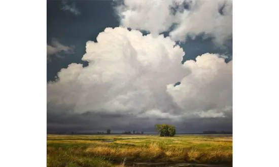 Painter Spotlight: Renato Muccillo, Distilled Nature