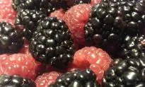 The Role of Nutrition in Learning