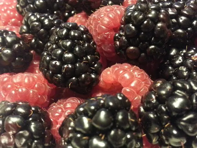 "Let food be thy medicine and medicine by thy food."