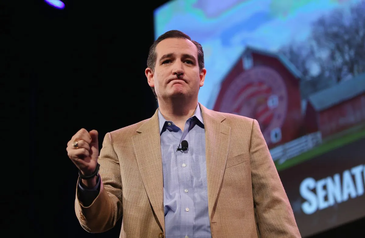 Sen. Ted Cruz (R-TX) speaks to guests at the Iowa Freedom Summit on January 24, 2015 in Des Moines, Iowa. (Scott Olson/Getty Images)