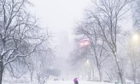 Why Snowstorm Is One of the Hardest Predictions for a Meteorologist