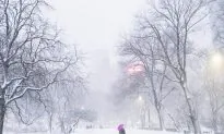 The Beautiful Side of a Mean Snowstorm