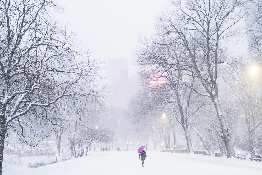 Central Park during the Juno blizzard in New York on Jan. 26, 2015. (Courtesy of Annie Zhuo/NTD Television)