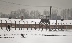 Watchdog Finds Ex-Nazis Got $20.2 Million in Social Security