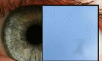 The Eye Floater Phenomenon: Between Science and Spirituality