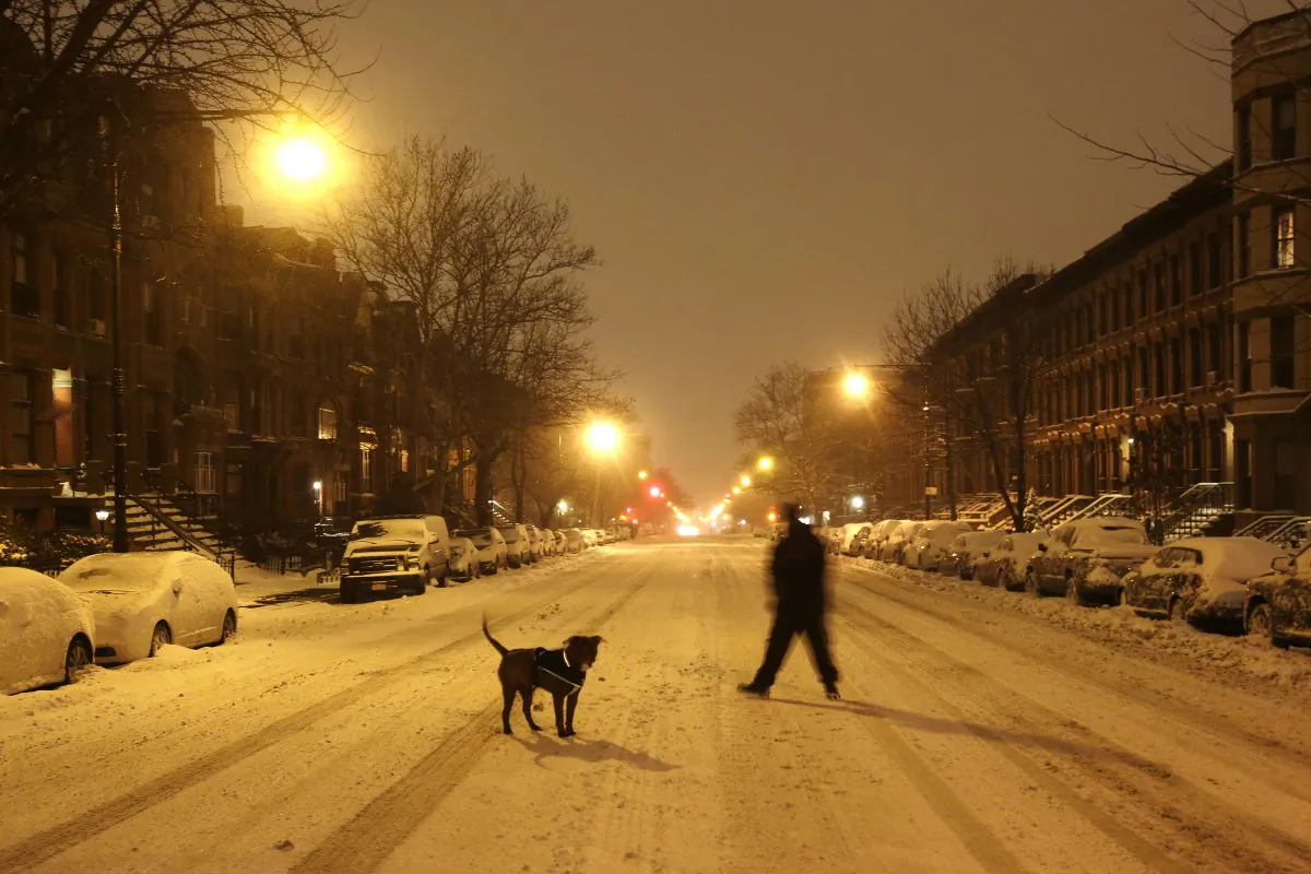 A man takes his dog for an early morning walk in the middle of an empty street in the Park Slope neighborhood in the Brooklyn borough of New York, Tuesday, Jan. 27, 2015. Tens of millions of people along the East Coast hunkered down for a storm that for most failed to live up to predictions that it would be one of the worst they'd ever seen. (AP Photo/Mark Lennihan)