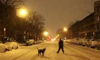 ‘Yeti’ Spotted in Boston During Blizzard of 2015
