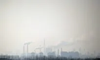 Pollution Makes a Village of Widows in China