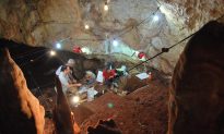 55,000-Year-Old Skull Found in Israel Hailed as Key to Human Prehistory