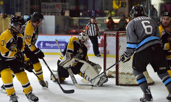 Sharks Progress, Warriors Outplay Aces