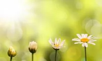 4 Steps to Accepting Change: Letting Your Health Dictate Your Diet