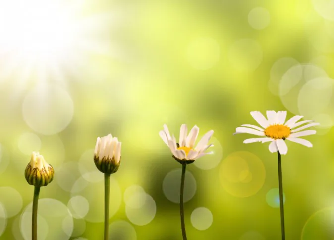 (Delpixart/iStock/Thinkstock)