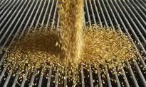 Report Rejects Ethanol for Fuel