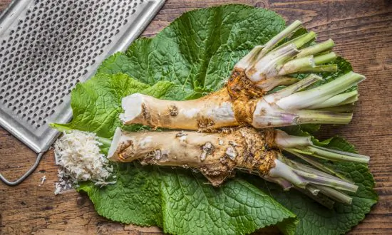 Horseradish: Nature’s Decongestant