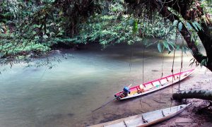 Indonesia Community Regains Forest Rights