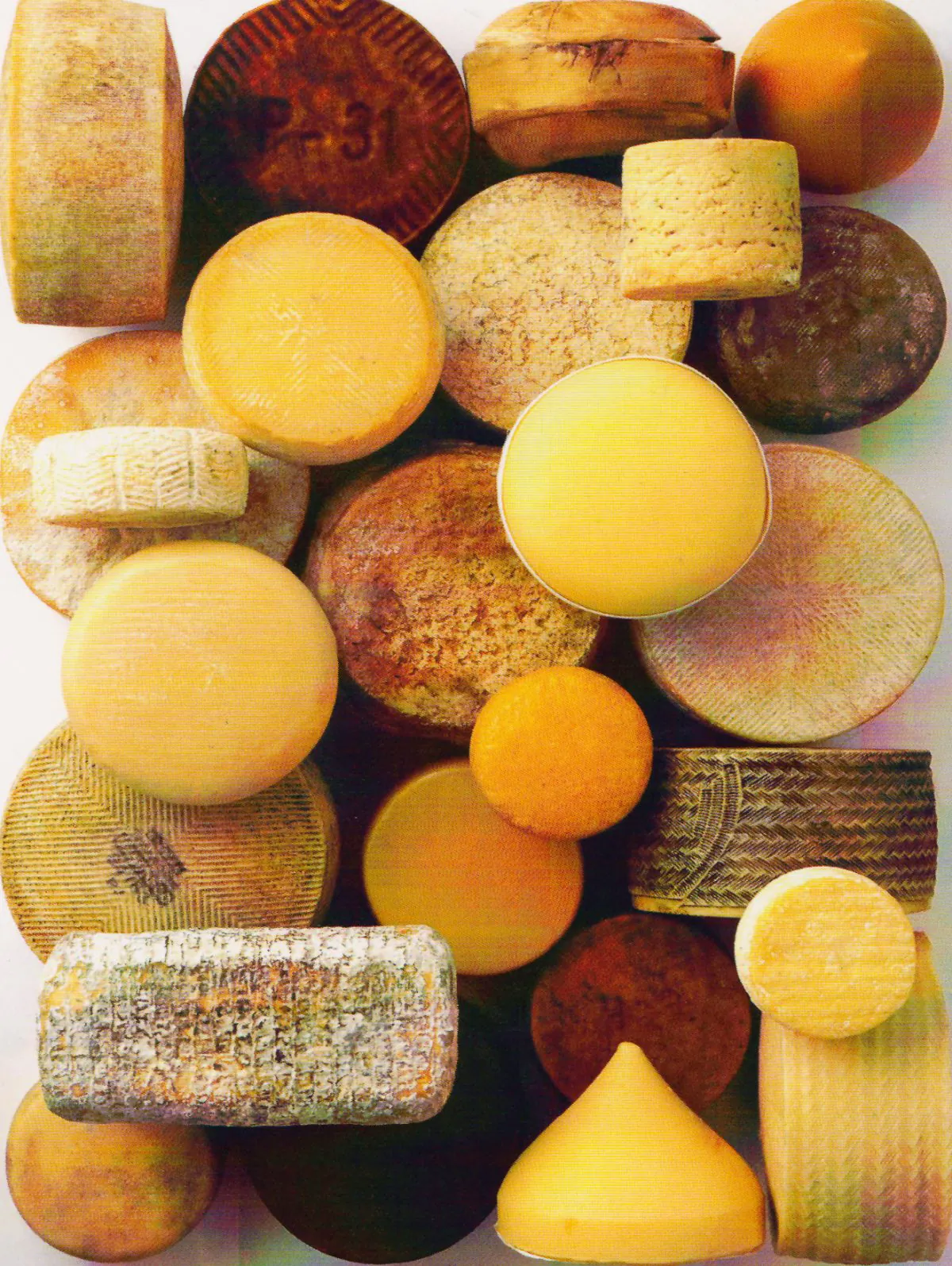 An assortment of Spanish cheeses. (Cheeses of Spain)