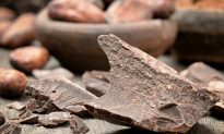 Surprising Finding: Gut Microbes Make Dark Chocolate Healthy