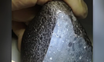 ‘Black Beauty’ Meteorite Reveals Secrets of Mars’ Surface (Video)