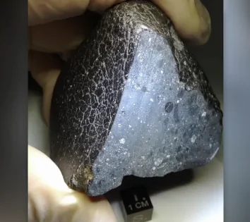 ‘Black Beauty’ Meteorite Reveals Secrets of Mars’ Surface (Video)