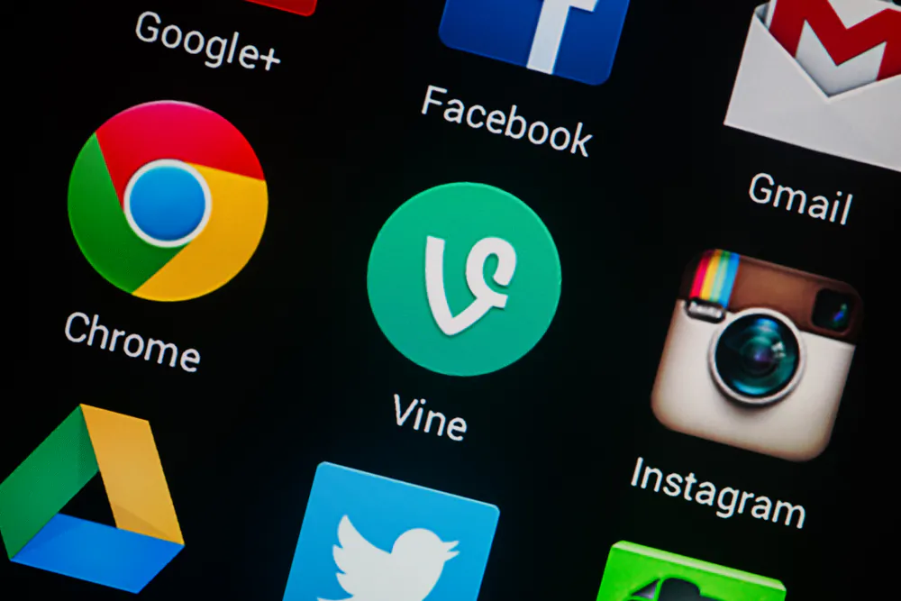 Vine is everywhere.(Alexander Supertramp/Shutterstock.com)