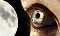 Mirror of the Body: How the Tongue and Eyes Reveal Your Body’s Health