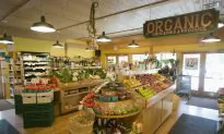 Lax Standards Allow GMOs in Organic Food