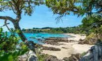 Waiheke Island